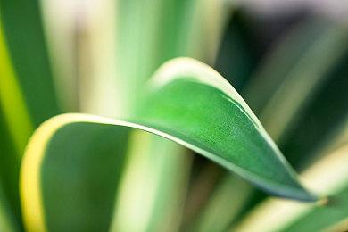 《桑塔和七赛莲》“超级巨星”更新上线 新增4种模式